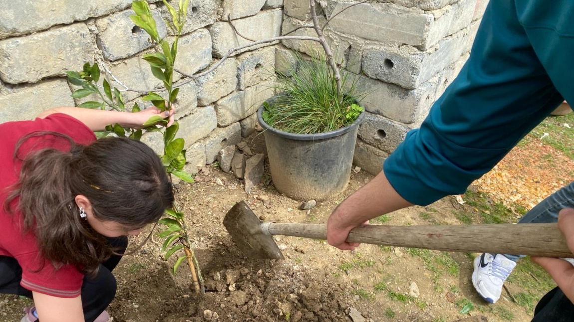Okulumuz Bahçesinde Ağaçlandırma Çalışması Yaptık